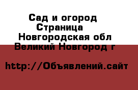  Сад и огород - Страница 2 . Новгородская обл.,Великий Новгород г.